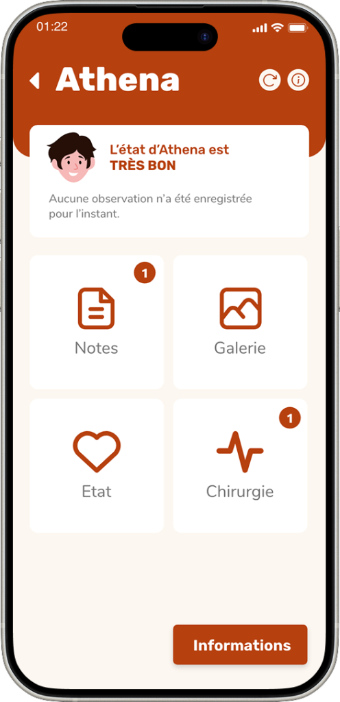 Interface application mobile