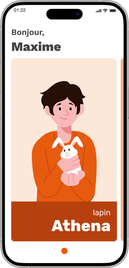 Interface application mobile