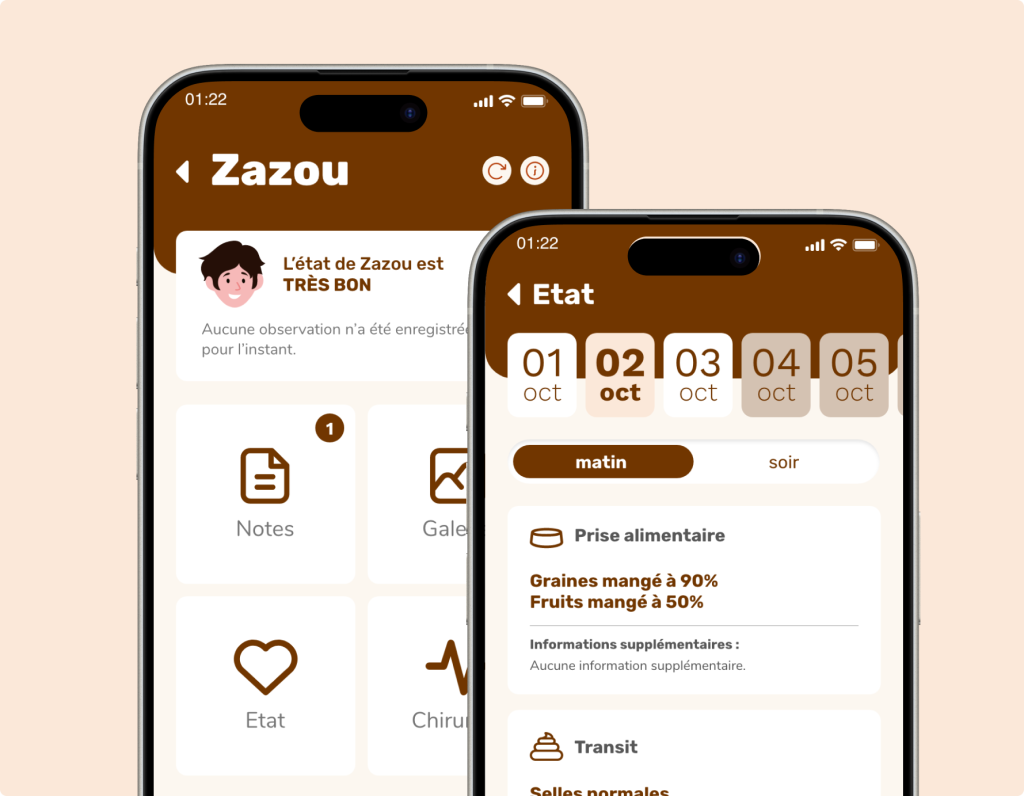 Interface de l'application mobile