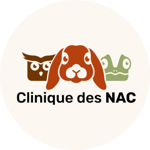 logo clinique