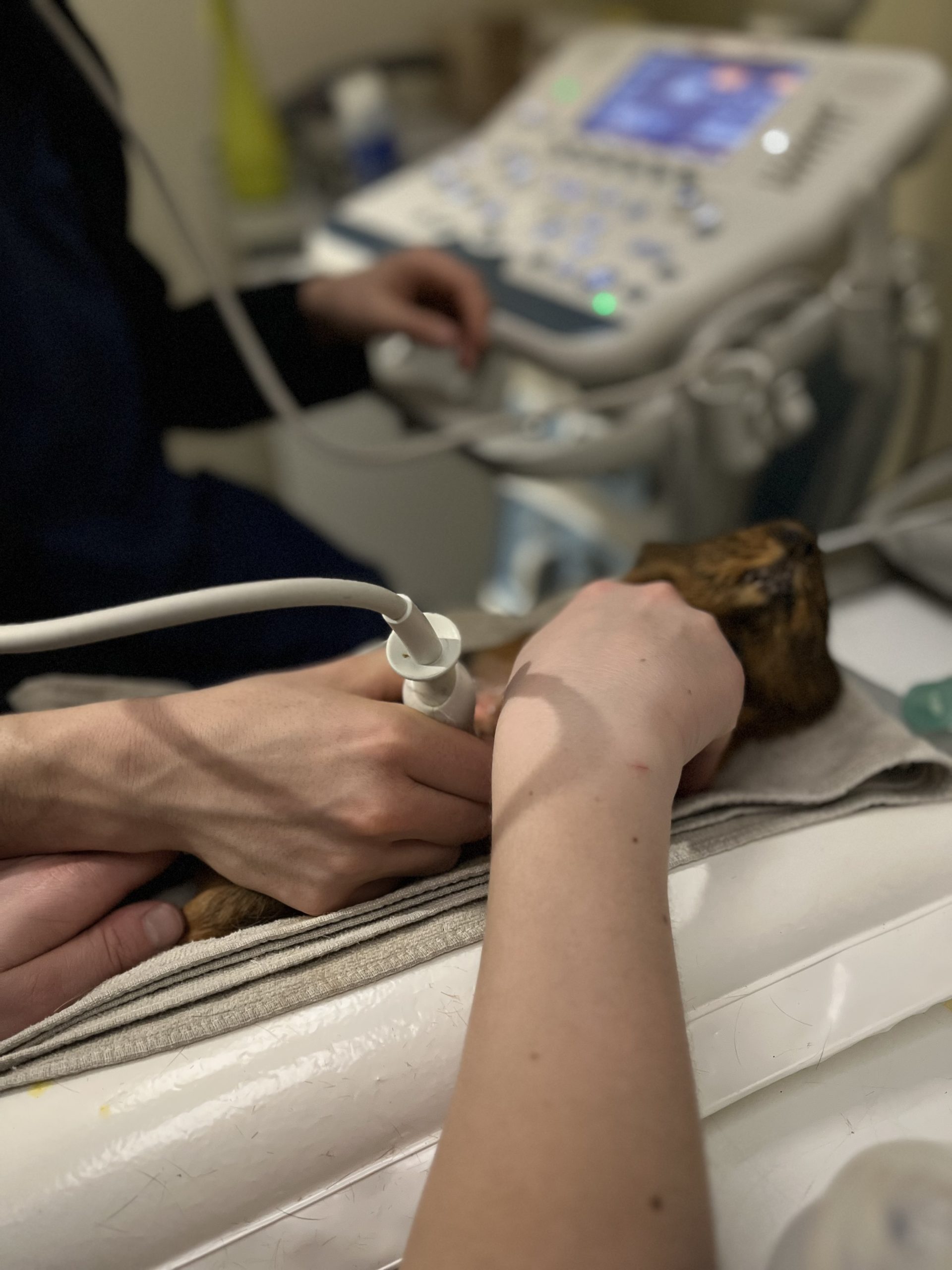 examens complémentaire