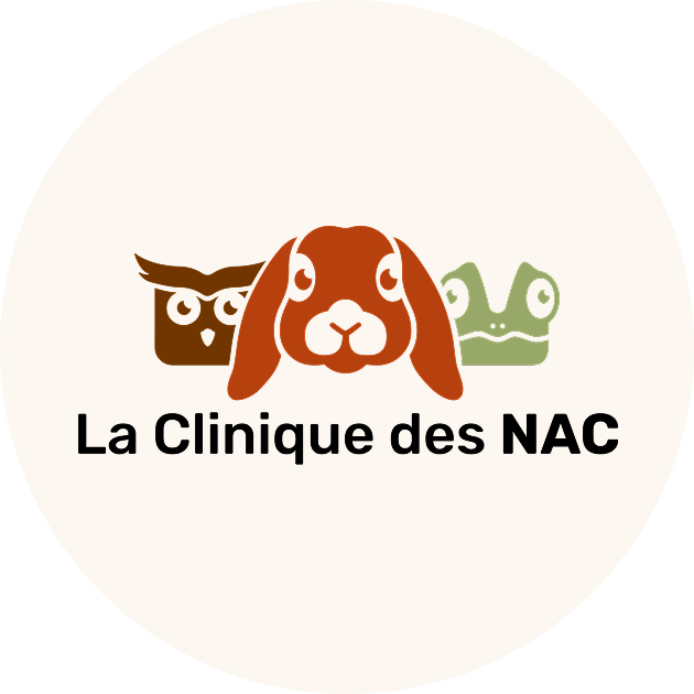 Logo_Clinique_Home